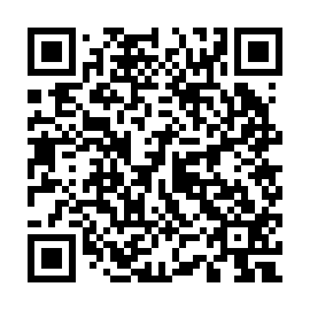 QR code for plate 53W 213