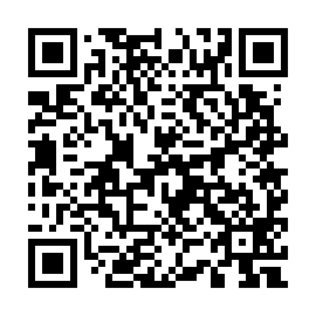 QR code for plate 53W 799