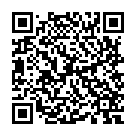 QR code for plate 53W 906