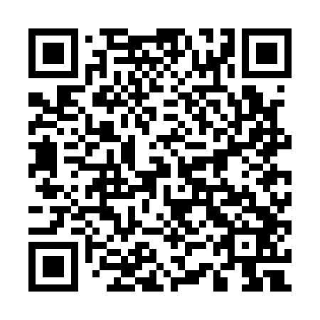 QR code for plate 53W A42