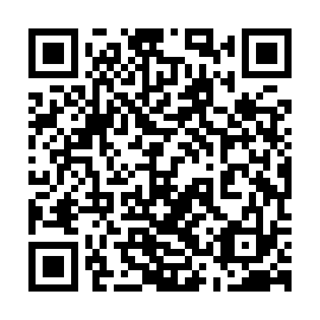 QR code for plate 53X IS3