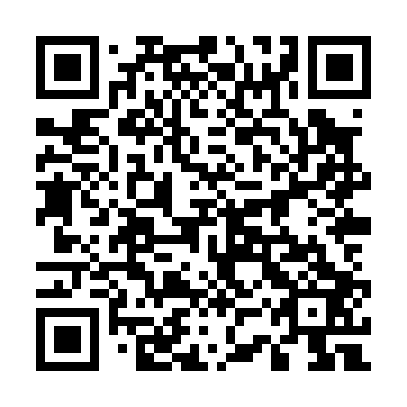 QR code for plate 53X P03