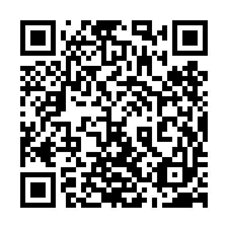 QR code for 53Y TI3