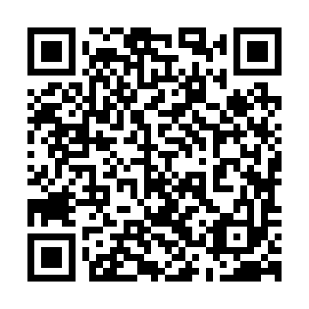 QR code for 53Z 293