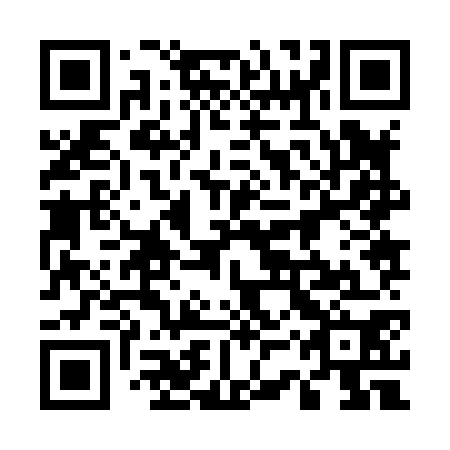 QR code for 53Z 870