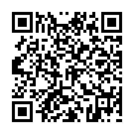 QR code for 53Z X38