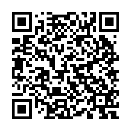 QR code for 53Z213