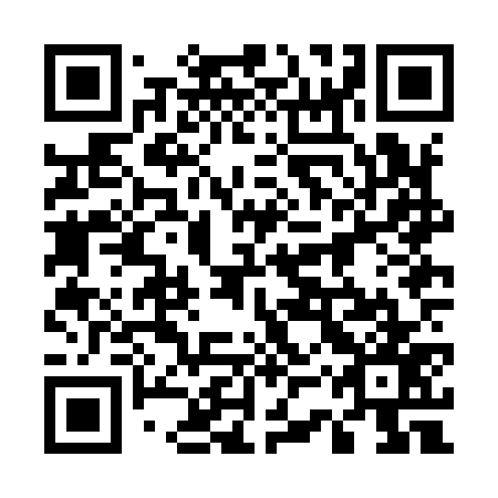 QR code for plate 53Z I77