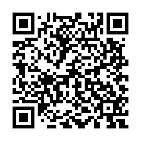 QR code for plate 54D E13