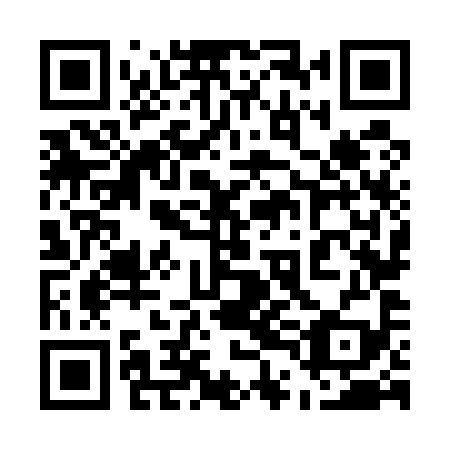 QR code for 54N 599
