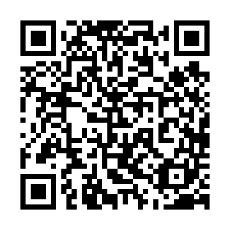 QR code for plate 54P 641