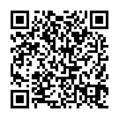 QR code for plate 54P 941