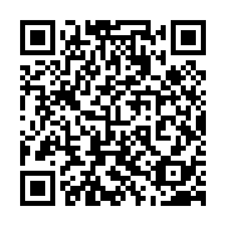 QR code for plate 54V P38