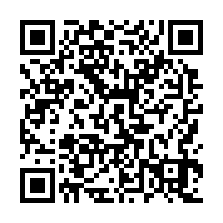 QR code for 54X333