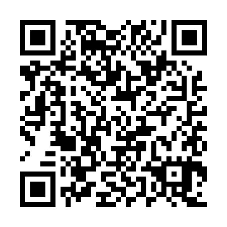 QR code for plate 55A P85