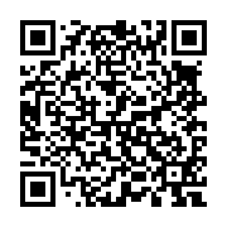 QR code for 55BL91