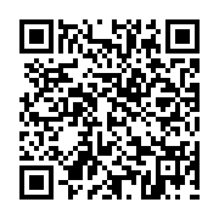 QR code for 55I 733