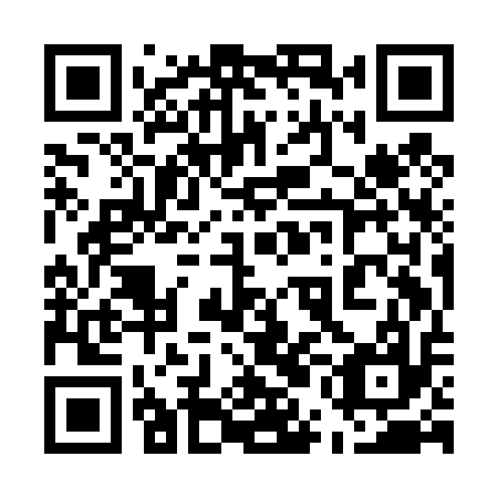 QR code for 55I D17