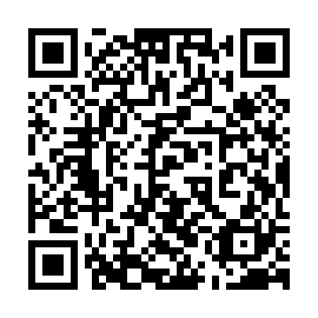 QR code for 55I P20