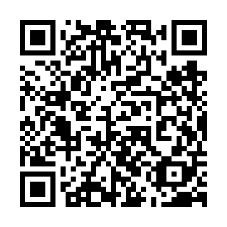 QR code for 55I VP8