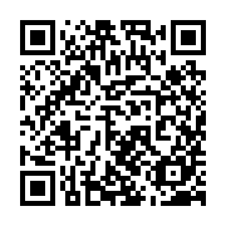QR code for 55I285