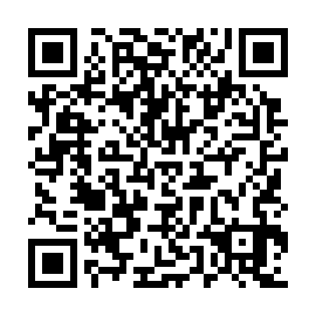 QR code for 55L 333
