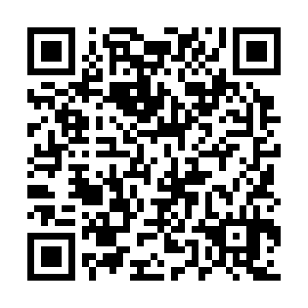 QR code for 55L334