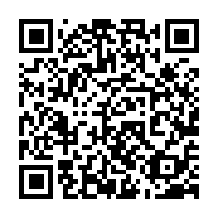 QR code for 55L919