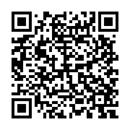 QR code for plate 55N E46