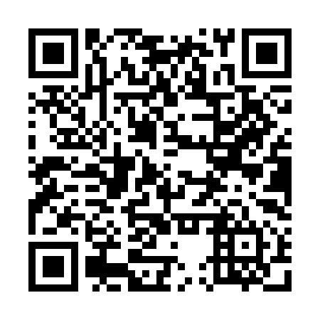 QR code for 55P SI4