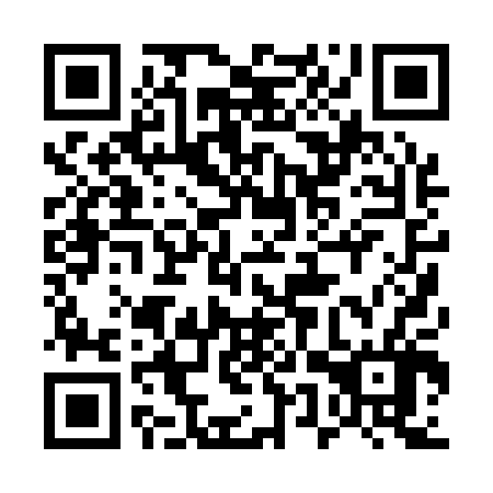 QR code for 55P106