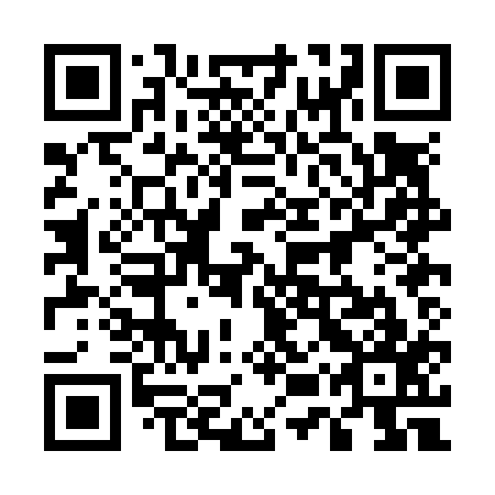 QR code for plate 55P N17