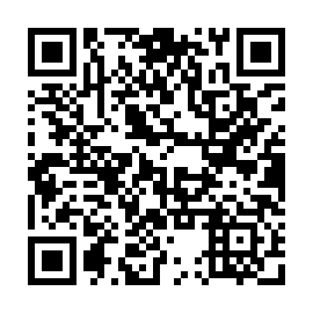 QR code for plate 55P YX3