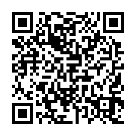 QR code for 55Q 313