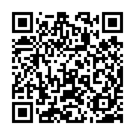 QR code for 55Q V90