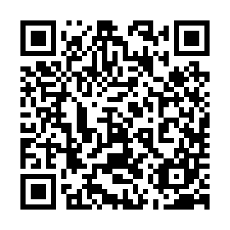 QR code for plate 55R 207