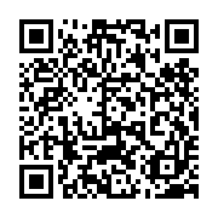 QR code for 55S DI3