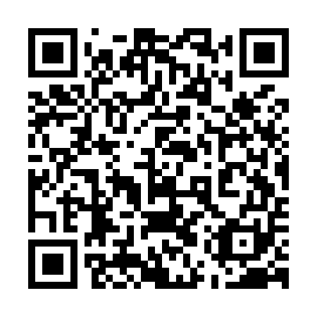 QR code for 55S M51