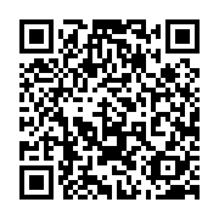 QR code for plate 55T 128