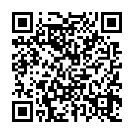 QR code for plate 55T 738