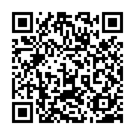 QR code for 55V L30