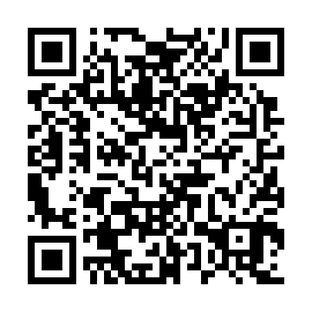 QR code for plate 55V 300