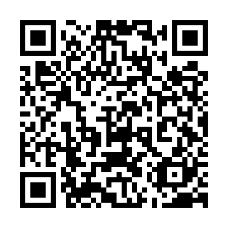 QR code for plate 55V ER0