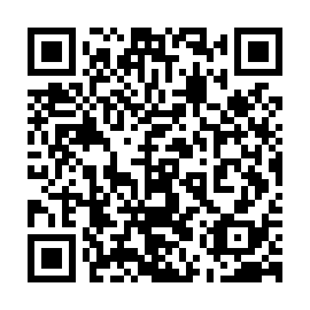 QR code for 55W L38