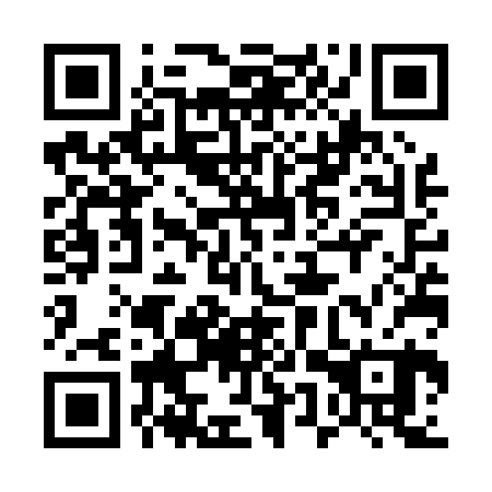 QR code for 55W P20