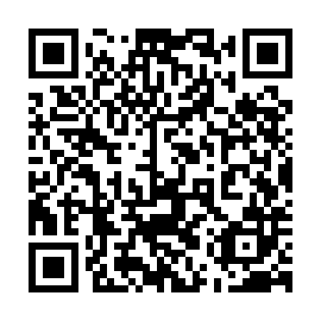 QR code for 55W QH2