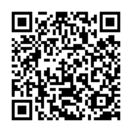 QR code for plate 55W 689