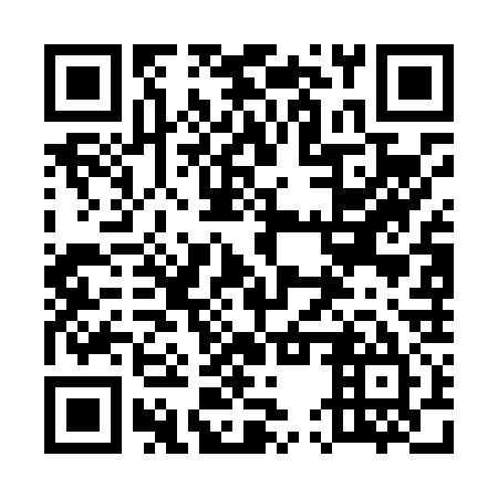 QR code for plate 55W L35