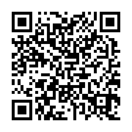 QR code for plate 55W Z30