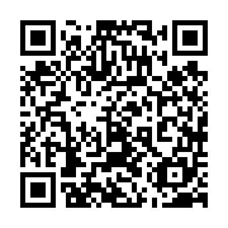 QR code for 55X655